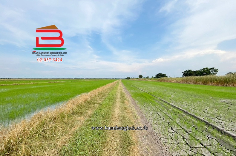 ที่ดินเปล่า เนื้อที่ 5 ไร่ ถนนคู้คลองสิบ แยก 12 แขวงคลองสิบ เขตหนองจอก – รูปที่ 3