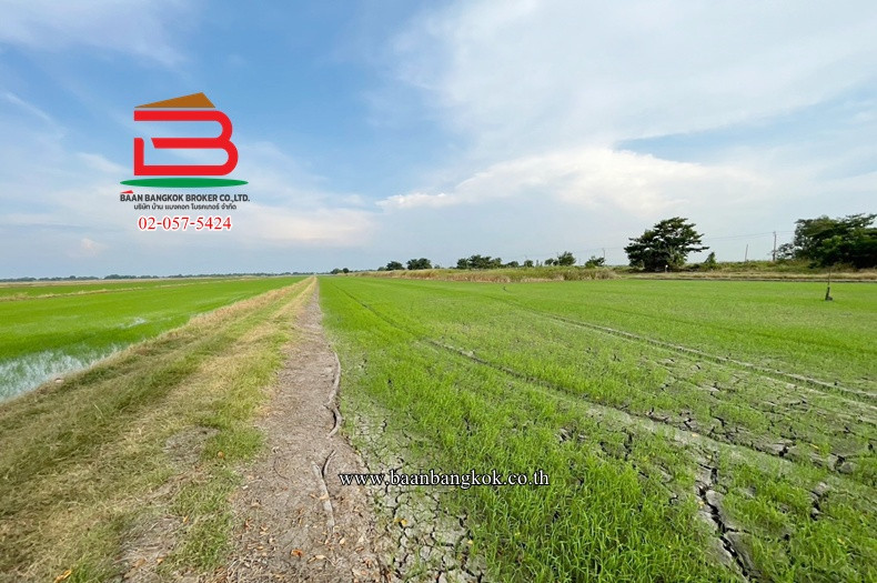 ที่ดินเปล่า เนื้อที่ 5 ไร่ ถนนคู้คลองสิบ แยก 12 แขวงคลองสิบ เขตหนองจอก – รูปที่ 4