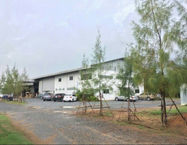 ขายโรงงานฉะเชิงเทรา พร้อมที่ดินเนื้อที่ 22-3-98ไร่ อำเภอเมือง  ถนนสุวินทวงศ์  – รูปที่ 3