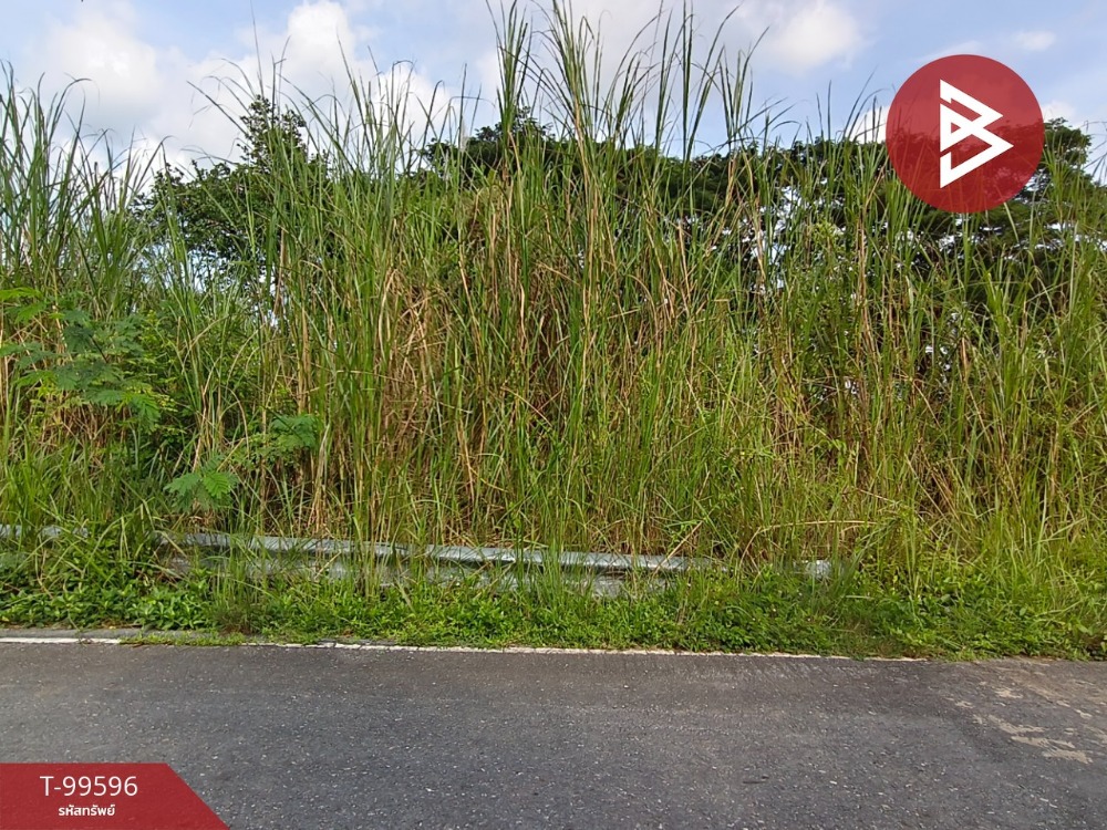 Land for sale, area 98 sq.wa, Tha Sak, Nakhon Si Thammarat Land for sale, area 98 sq.wa, Tha Sak, Nakhon Si Thammarat