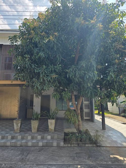 Townhouse for rent, The Connect 41, Chaeng Watthana - Tiwanon, near Lotus Tiwanon, only 5 minutes.