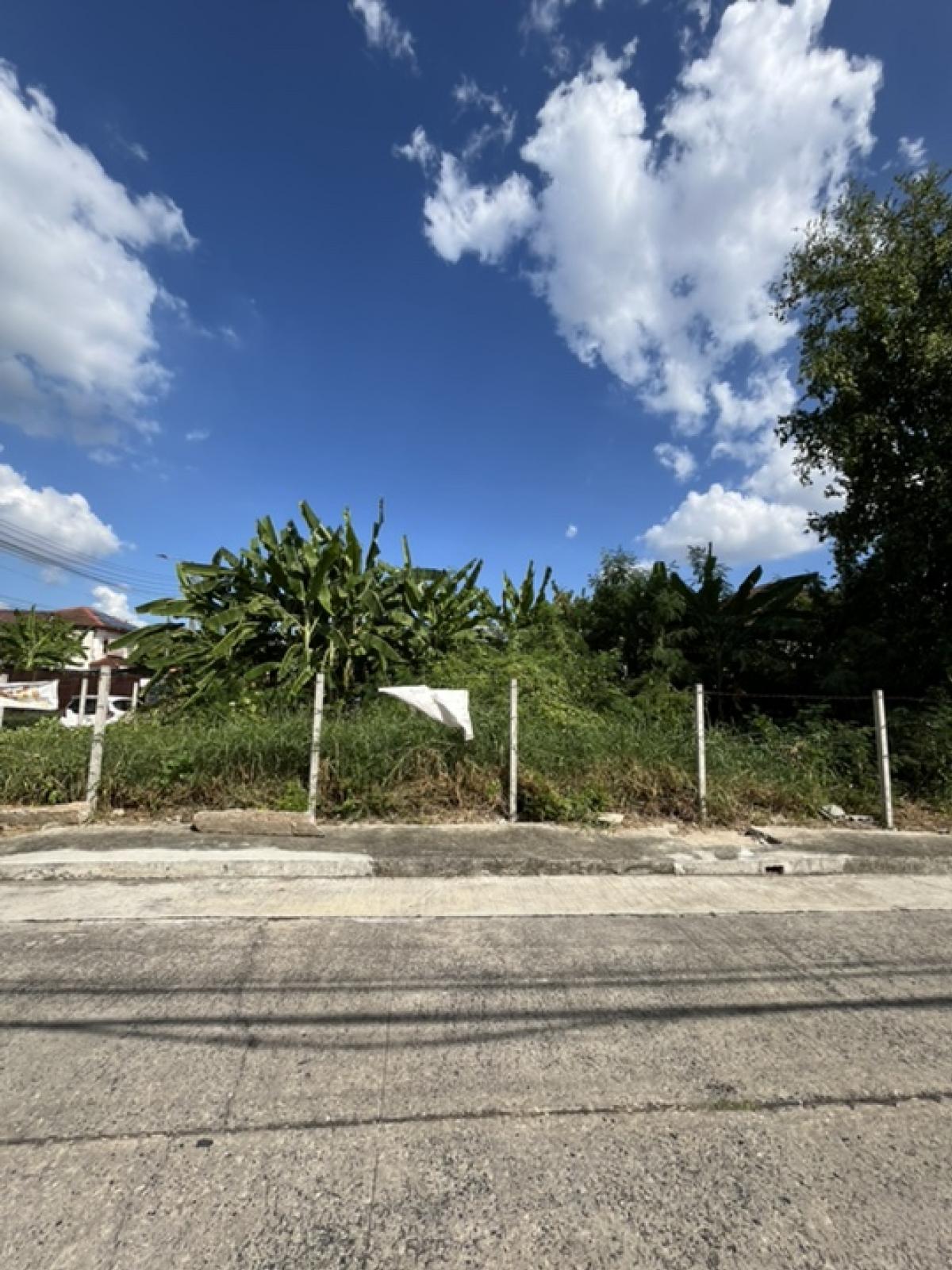ขายที่ดิน ซ.เทศบาลสงเคราะห์ 2 – รูปที่ 3