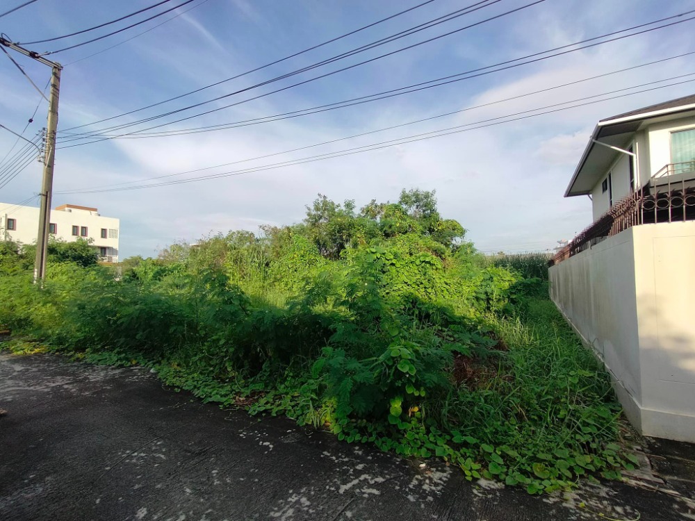 ทวีวัฒนา-กาญจนาภิเษก 6/1 (ซอยสิริฉัตร) – รูปที่ 2