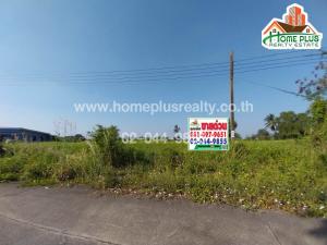 Land on Soi Suwinthawong 51, area 418 square wah (near The Pine Golf Club)