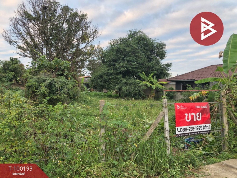Land for sale, area 3 ngan 66 sq.wa, Pa O Don Chai, Chiang Rai