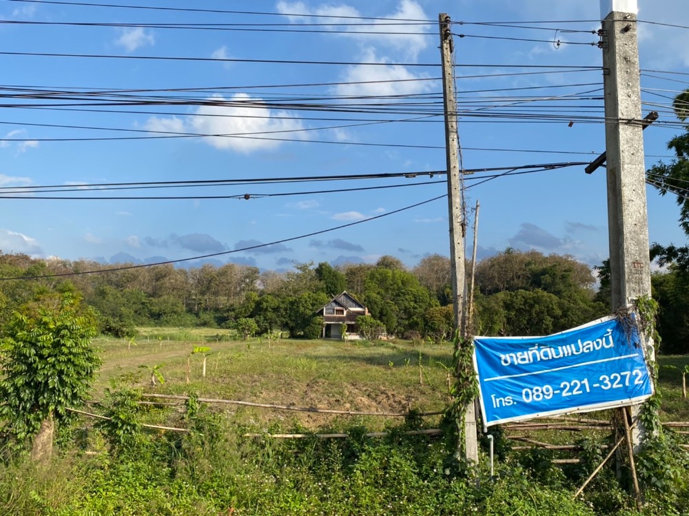 Vacant land near Mae Fah Luang University Vacant land near Mae Fah Luang University