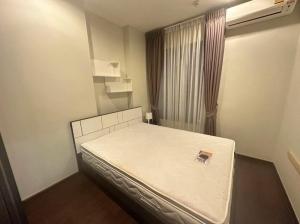 for rent C ekkamai super deal 🌿🐻‍❄️🎄🌼