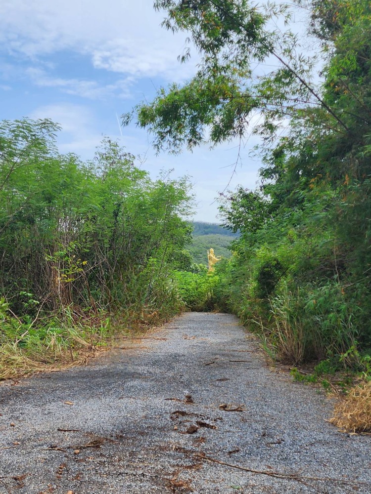 Land for sale in Pak Chong at appraised price of 3 rai and 2 rai, Nong Kaja Road, 150 meters from the main road, near Wihan Sien and Thong Somboon Club, near Wihan Sien, Thong Somboon Club, Phutawan 7500/wa
