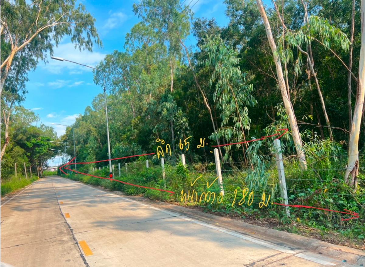 Urgent sale! Land near the sea, Saengchan Beach, Mueang Rayong District, 2 plots, total 6 rai, 3 ngan, 54 square wa, call 0616545359 – รูปที่ 4