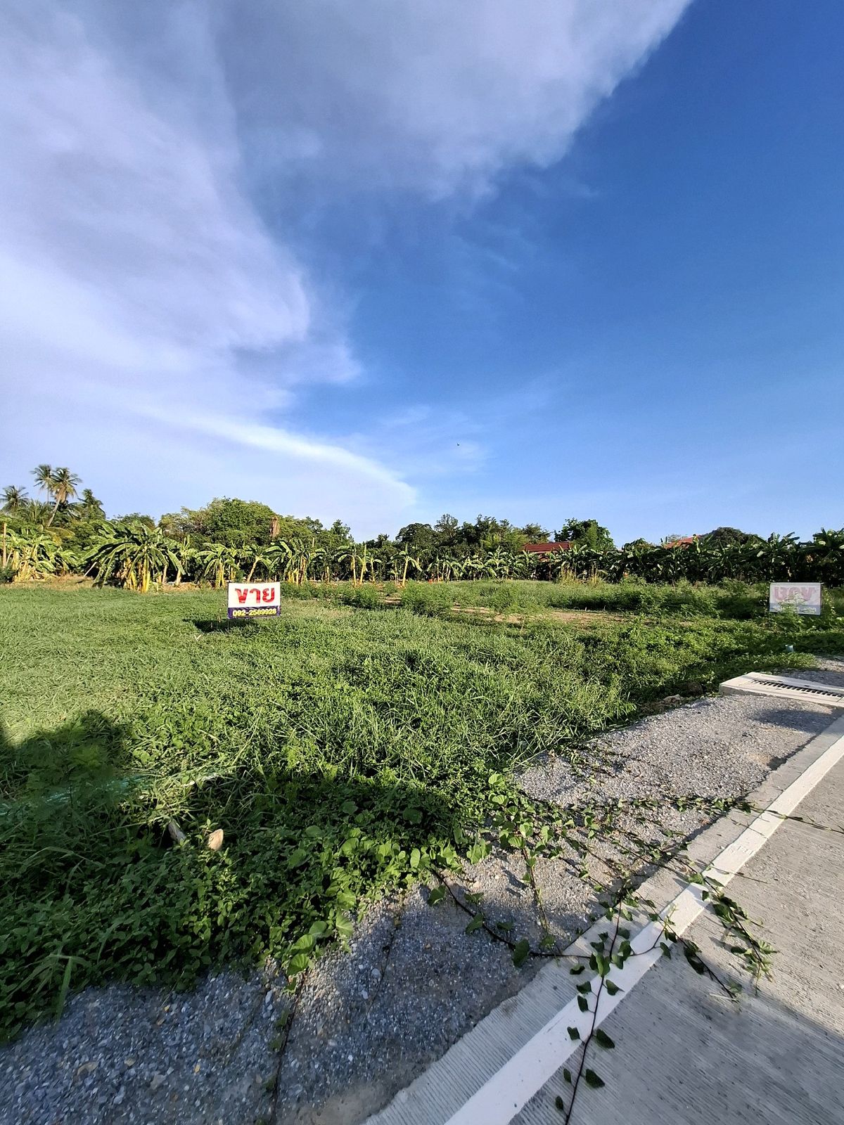 Land for sale, Phutthamonthon Sai 7, intersection with Borommaratchachonnani, 400 sq m, width 40 m, price 7.8 million. Land for sale, Phutthamonthon Sai 7, intersection with Borommaratchachonnani, 400 sq m, width 40 m, price 7.8 million.