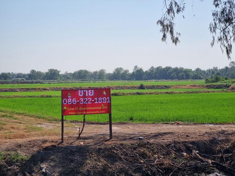 ขายที่ดิน บางกระสั้น บางปะอิน อยุธยา 1 ไร่ ใกล้แม่น้ำเจ้าพระยา และสนามกอล์ฟรอยัลบางปะอิน – รูปที่ 2