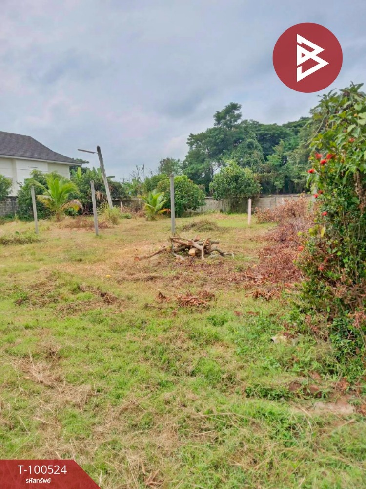 ขายที่ดินเปล่าด่วน เนื้อที่ 3 งาน 2 ตร.วา เชียงคำ พะเยา – รูปที่ 3