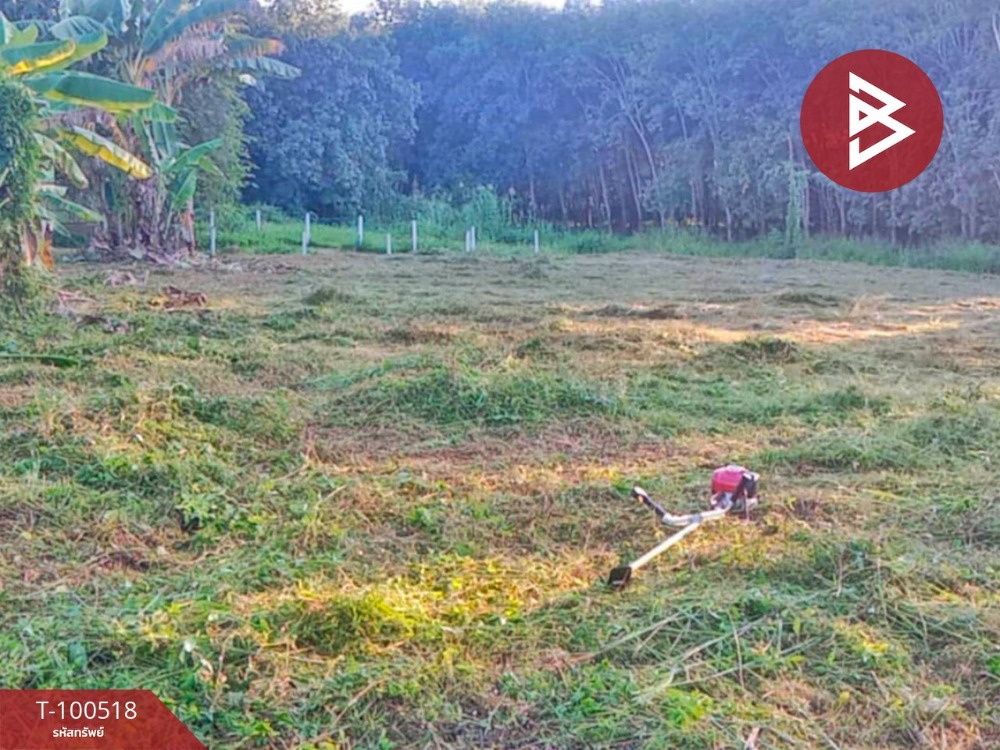 Land for sale, area 1 ngan 17 square wa, Chiang Kham, Phayao