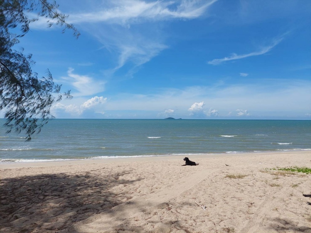 ● Beachfront Land in Prachuap ● Vacant Land | 5 Rai 2 Ngan 7 sq.w. ● Beachfront Land in Prachuap ● Vacant Land | 5 Rai 2 Ngan 7 sq.w.