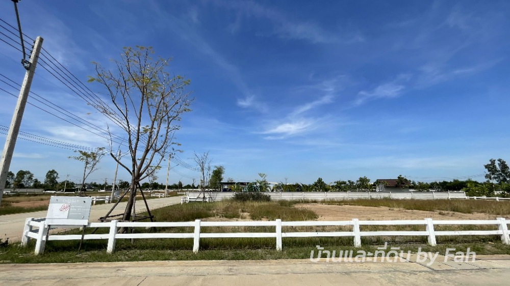 ขายที่ดิน แปลงสวย คลอง15 รังสิต นครนายก ไฟฟ้า-ประปา พร้อมใช้งาน บรรยากาศดี ขายที่ดิน แปลงสวย คลอง15 รังสิต นครนายก ไฟฟ้า-ประปา พร้อมใช้งาน บรรยากาศดี