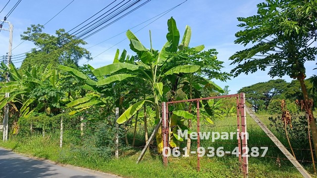 428928 ขายที่ดินเปล่าซอยกรุงเทพฯกรีฑา 8 ขนาด 1 ไร่ ในซอยนั้นจะร่มรื่น ต้นไม่ใหญ่และส่วนใหญ่จะเป็นบ้านหลังใหญ่ๆ 428928 ขายที่ดินเปล่าซอยกรุงเทพฯกรีฑา 8 ขนาด 1 ไร่ ในซอยนั้นจะร่มรื่น ต้นไม่ใหญ่และส่วนใหญ่จะเป็นบ้านหลังใหญ่ๆ
