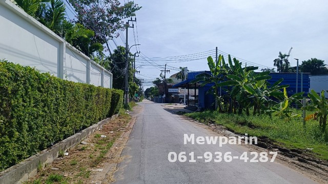 428928 ขายที่ดินเปล่าซอยกรุงเทพฯกรีฑา 8 ขนาด 1 ไร่ ในซอยนั้นจะร่มรื่น ต้นไม่ใหญ่และส่วนใหญ่จะเป็นบ้านหลังใหญ่ๆ – รูปที่ 3