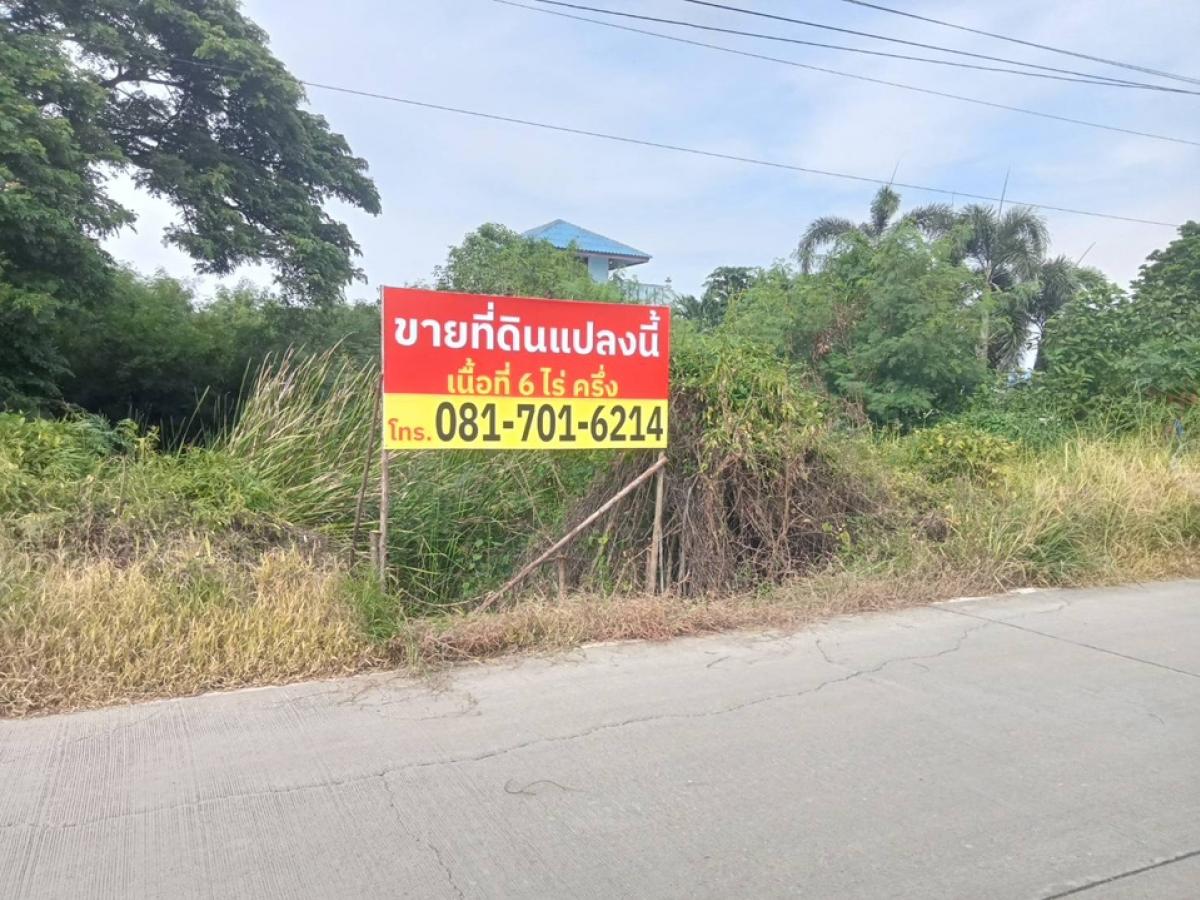 ขายที่ดินแปลงสวย ขนาด 6 ไร่ครึ่ง ตรงข้ามวัดบัวสุวรรณประดิษฐ์ – รูปที่ 3