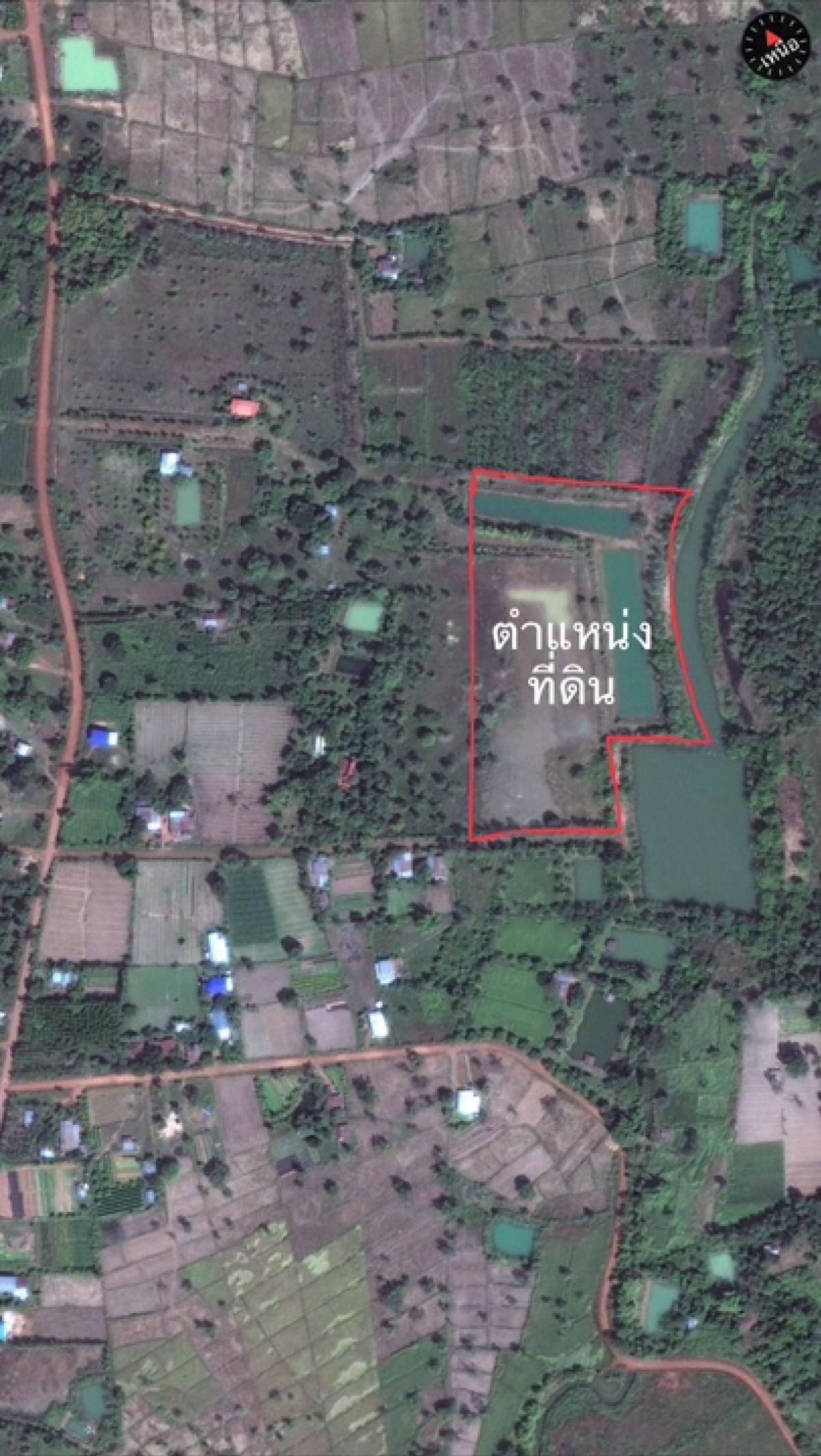 Land for sale, 12 rai, 3 ngan, 57 square wa, Tha Rae Subdistrict, Mueang District, Sakon Nakhon Province Land for sale, 12 rai, 3 ngan, 57 square wa, Tha Rae Subdistrict, Mueang District, Sakon Nakhon Province