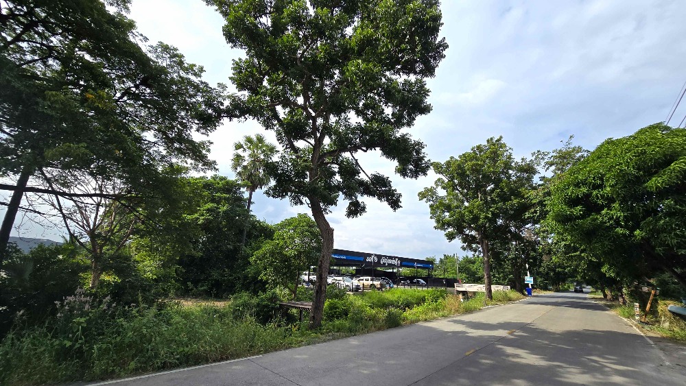 ขายที่ดินย่านบางบัวทอง ใกล้ถนนชัยพฤกษ์และถนนราชพฤกษ์ นนทบุรี ขนาด 25-3-29.9 ไร่ เหมาะทำหมู่บ้านจัดสรร โรงงาน – รูปที่ 3