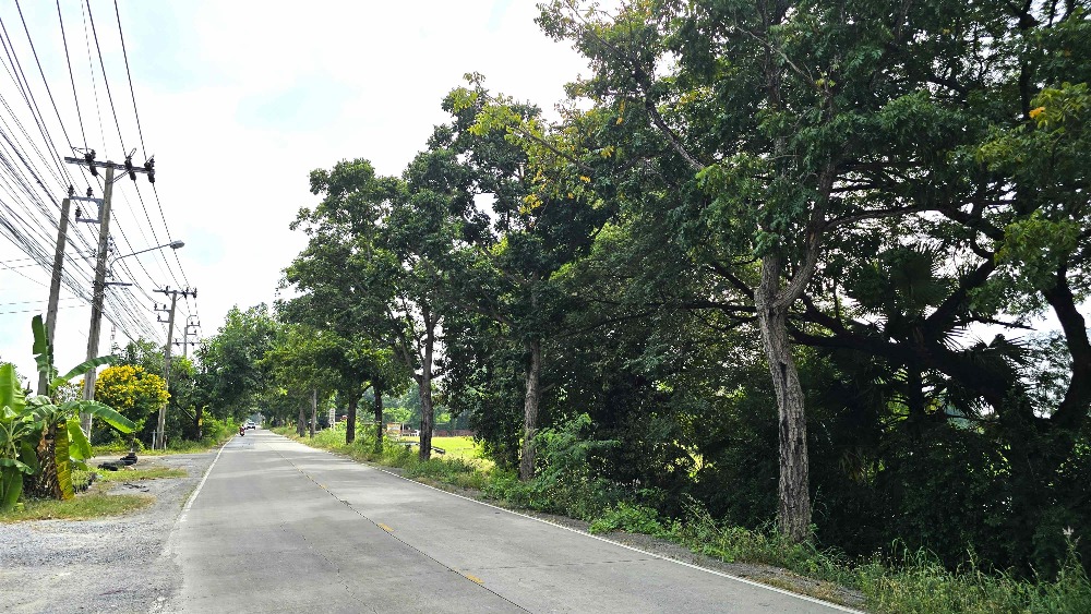 ขายที่ดินย่านบางบัวทอง ใกล้ถนนชัยพฤกษ์และถนนราชพฤกษ์ นนทบุรี ขนาด 25-3-29.9 ไร่ เหมาะทำหมู่บ้านจัดสรร โรงงาน – รูปที่ 4