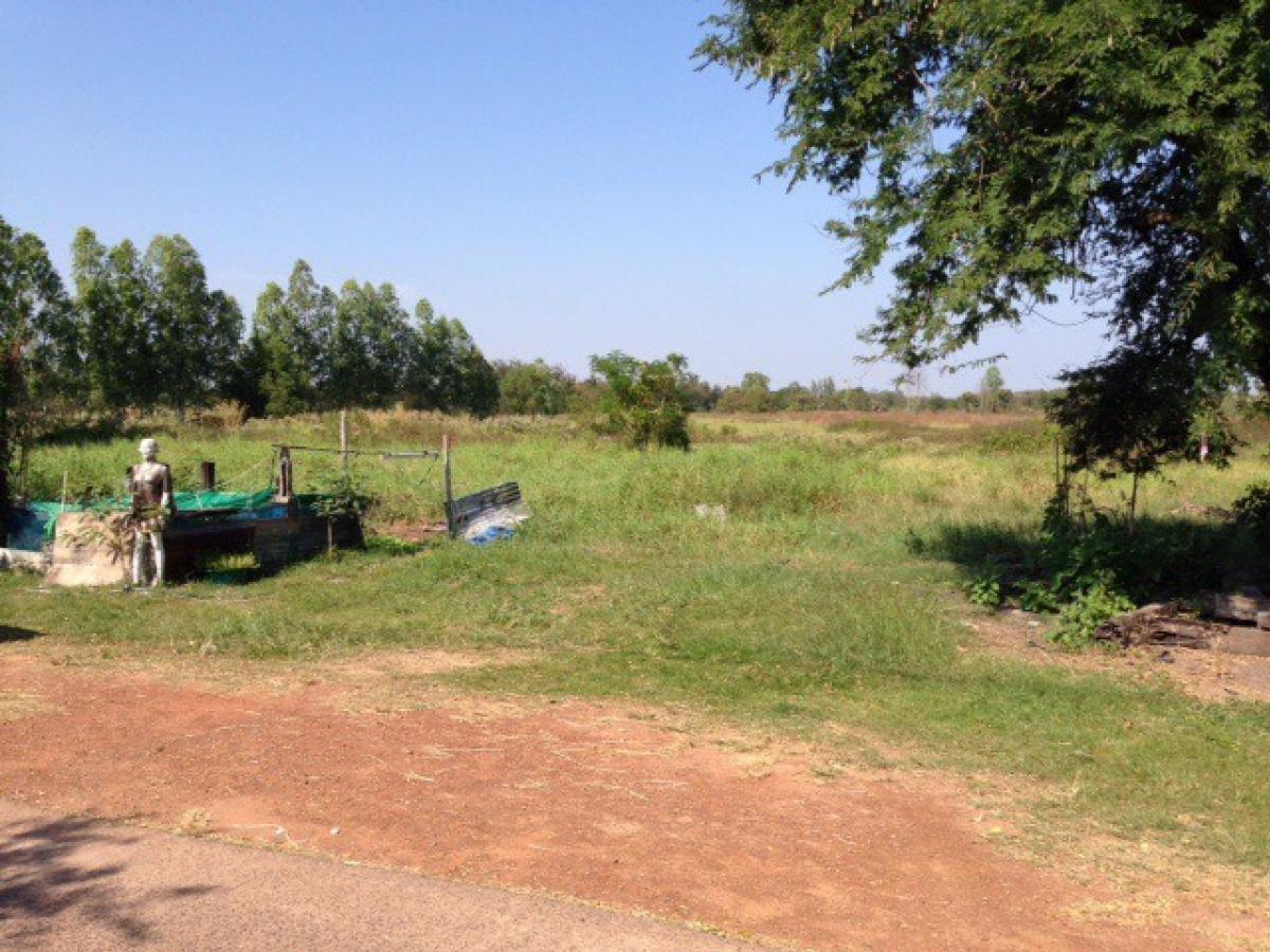 Land for sale, more than 5 rai, beautiful plot, located in Udon Thani city, 9,500 baht per sq.wa., Soi Ban Due 3 (Wat Pho Chai, Ban Due), near Nong Sim Public Park Land for sale, more than 5 rai, beautiful plot, located in Udon Thani city, 9,500 baht per sq.wa., Soi Ban Due 3 (Wat Pho Chai, Ban Due), near Nong Sim Public Park