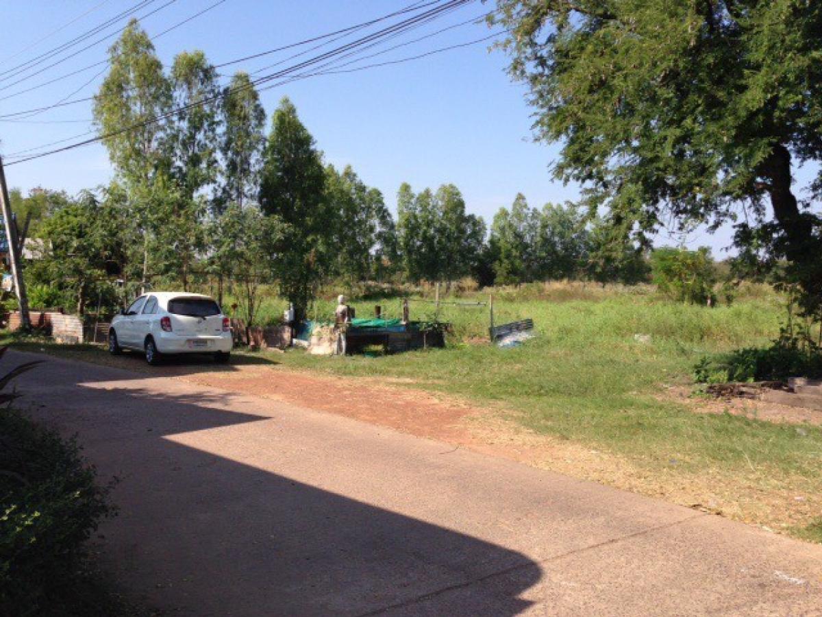 Land for sale, more than 5 rai, beautiful plot, located in Udon Thani city, 9,500 baht per sq.wa., Soi Ban Due 3 (Wat Pho Chai, Ban Due), near Nong Sim Public Park – รูปที่ 3