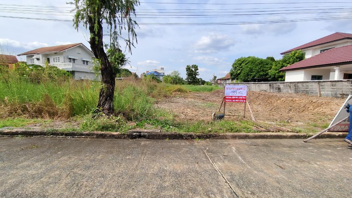 Land for sale in Krisdanakon 19 project, Soi Thichachon 4/5, Pathum Thani, 199 sq m., price 358,00,000 baht. Land for sale in Krisdanakon 19 project, Soi Thichachon 4/5, Pathum Thani, 199 sq m., price 358,00,000 baht.