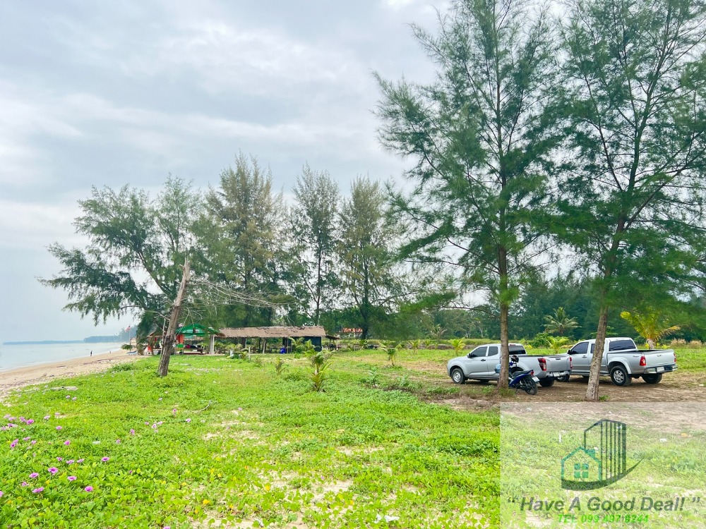 ที่ดิน 25-1-26.1 ไร่ ติดชายหาด ต.บางม่วง อ.ตะกั่วป่า จ.พังงา – รูปที่ 3