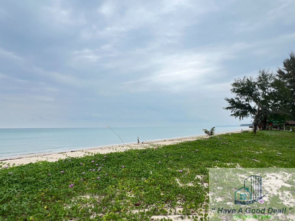ที่ดิน 25-1-26.1 ไร่ ติดชายหาด ต.บางม่วง อ.ตะกั่วป่า จ.พังงา – รูปที่ 4
