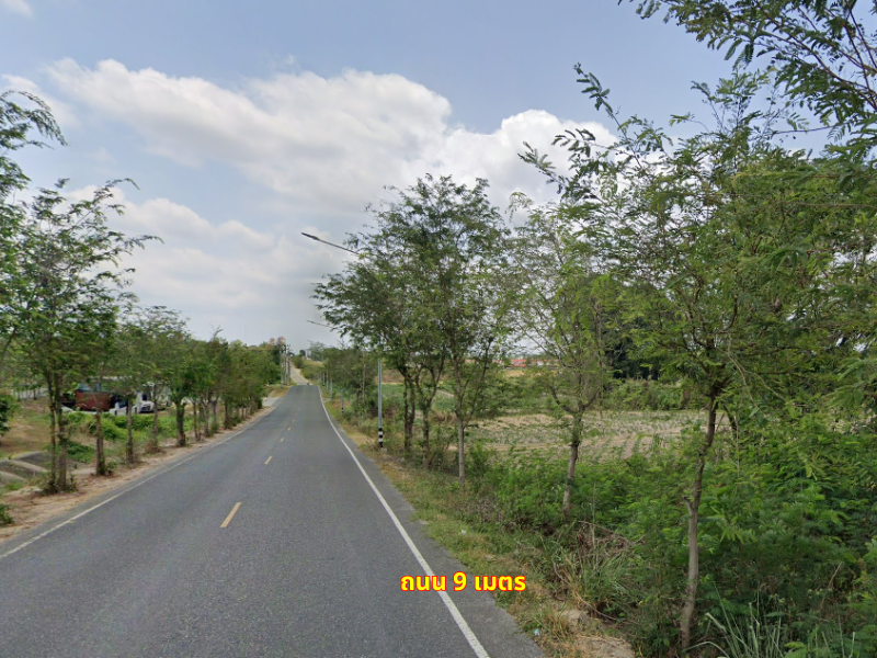 FHLS0038 ขายที่ดิน แปลงสวย 25-3-61.7 ไร่ ระยอง นิคมพัฒนา มะขามคู่ ติดถนนหน้าหลัง ราคาดี – รูปที่ 3