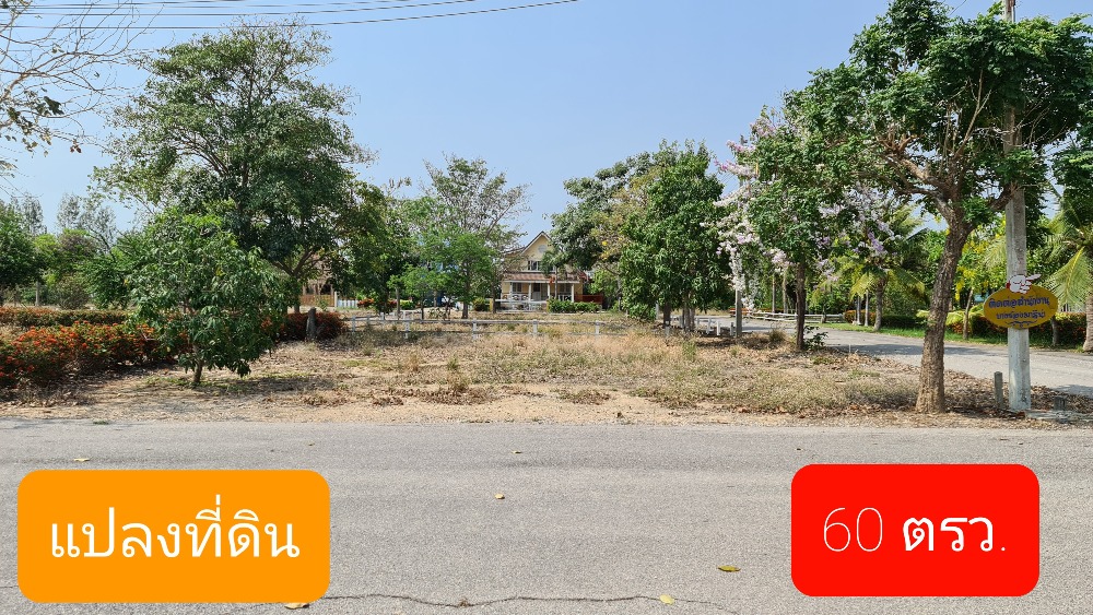 ขายที่ดินเปล่าที่บางชองมารีน่า ใกล้หาดปึกเตียน – รูปที่ 3