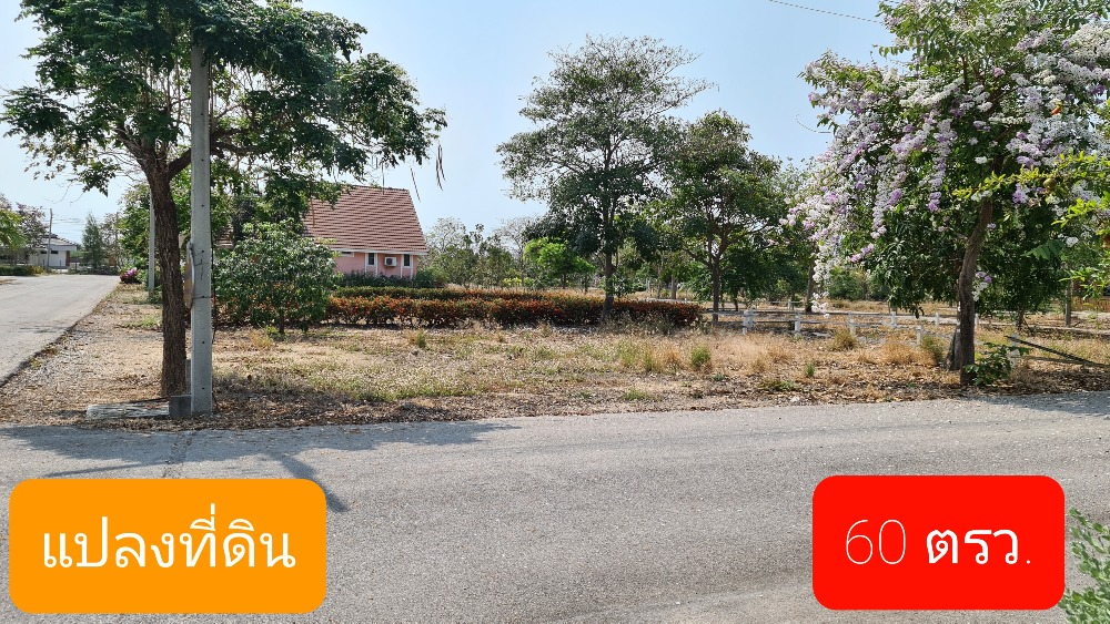 ขายที่ดินเปล่าที่บางชองมารีน่า ใกล้หาดปึกเตียน – รูปที่ 4