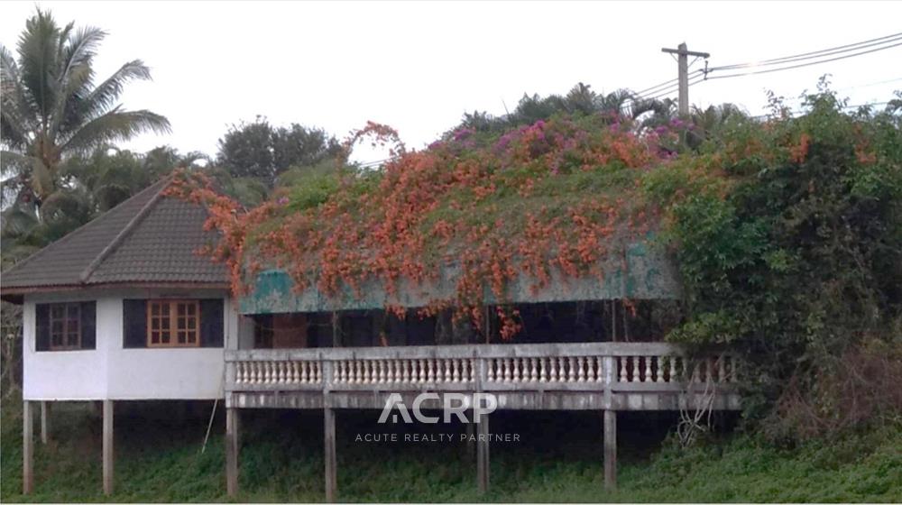 ขายที่ดินทำเลสวย ตำบลร่องจิก อำเภอภูเรือ จังหวัดเลย – รูปที่ 4