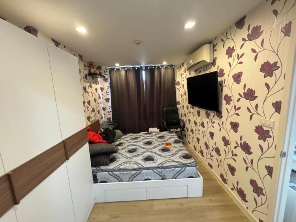 (A033384) Vino ratchada 32 – รูปที่ 2