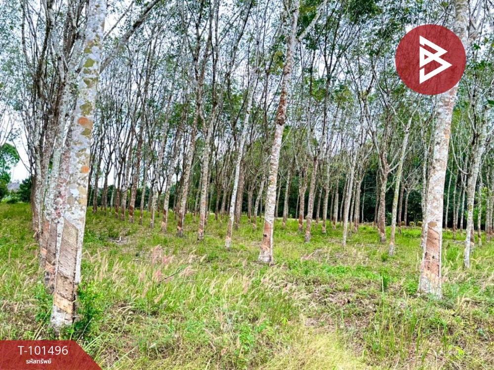 ขายที่ดินเปล่าด่วน เนื้อที่ 8 ไร่ 1 งาน 77 ตร.วา มะขาม จันทบุรี – รูปที่ 2