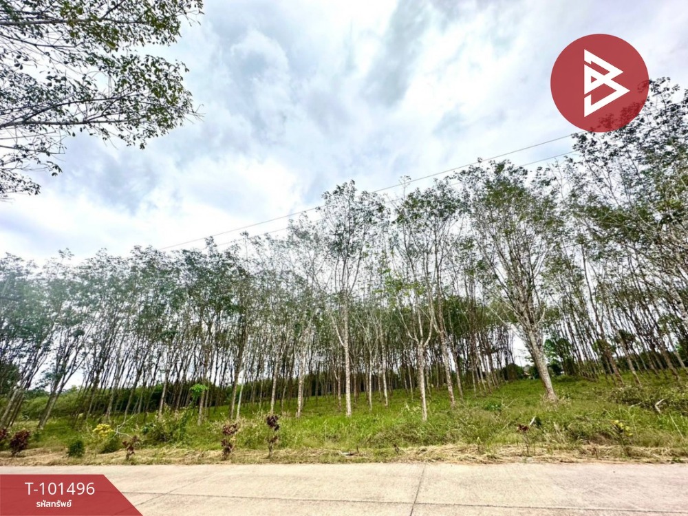 ขายที่ดินเปล่าด่วน เนื้อที่ 8 ไร่ 1 งาน 77 ตร.วา มะขาม จันทบุรี – รูปที่ 3