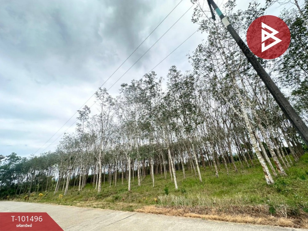 ขายที่ดินเปล่าด่วน เนื้อที่ 8 ไร่ 1 งาน 77 ตร.วา มะขาม จันทบุรี – รูปที่ 4