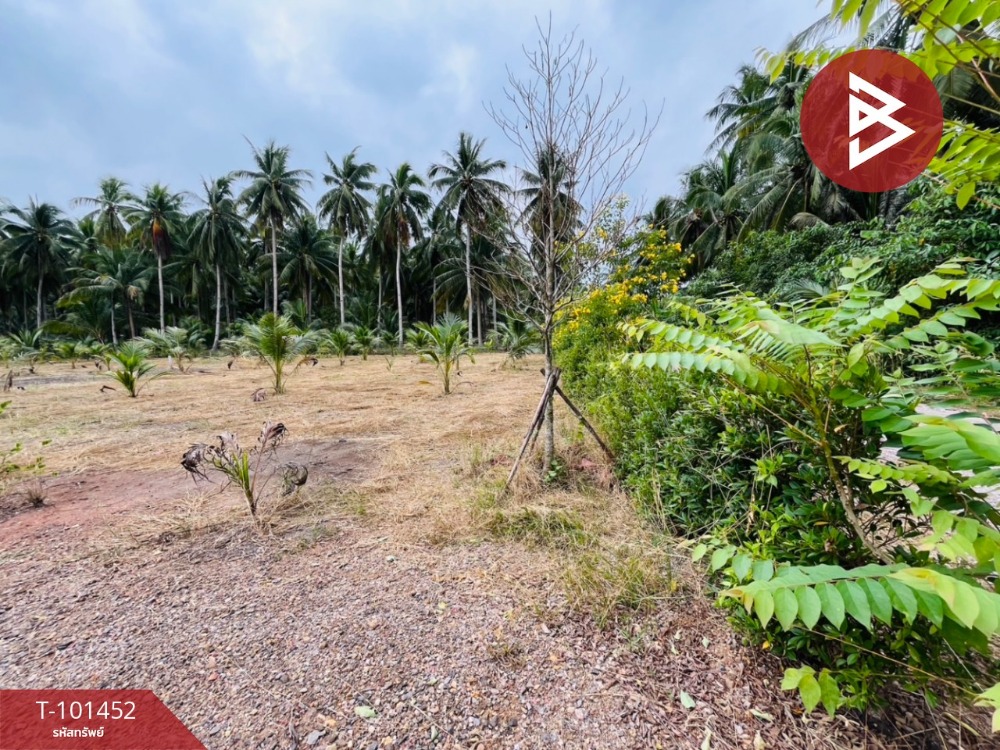 Land for sale, area 2 ngan 10 sq.wa, Amphawa, Samut Songkhram – รูปที่ 4