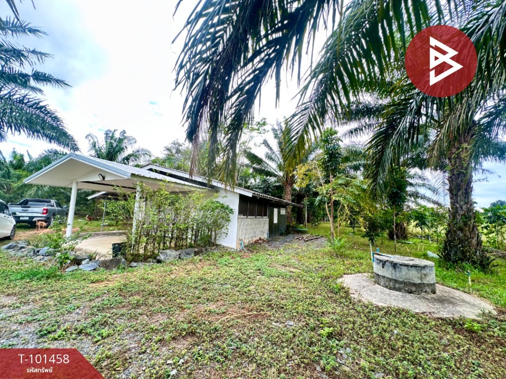 For sale: Palm plantation land with house, area 4 rai, Chaman Subdistrict, Chanthaburi – รูปที่ 2