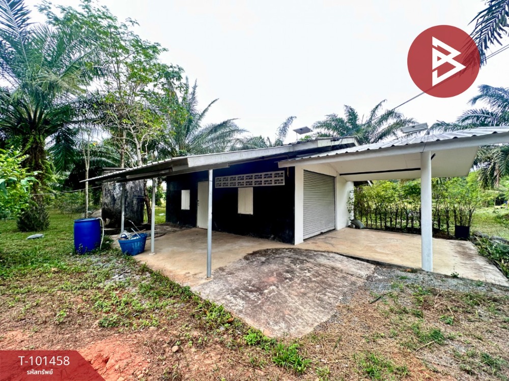 For sale: Palm plantation land with house, area 4 rai, Chaman Subdistrict, Chanthaburi – รูปที่ 3