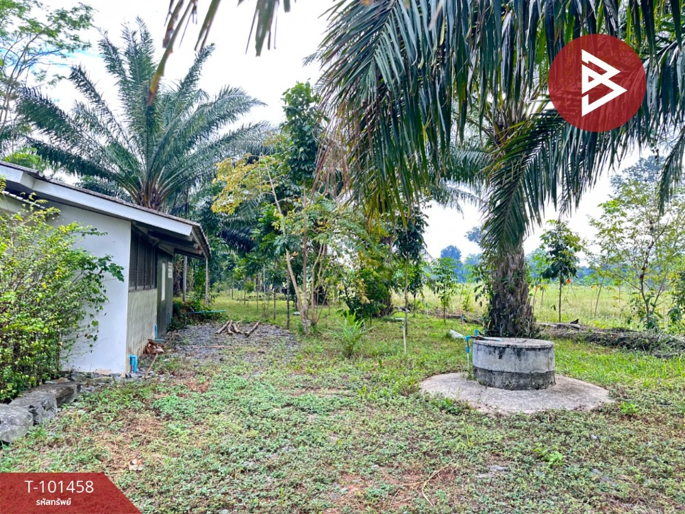 For sale: Palm plantation land with house, area 4 rai, Chaman Subdistrict, Chanthaburi – รูปที่ 4