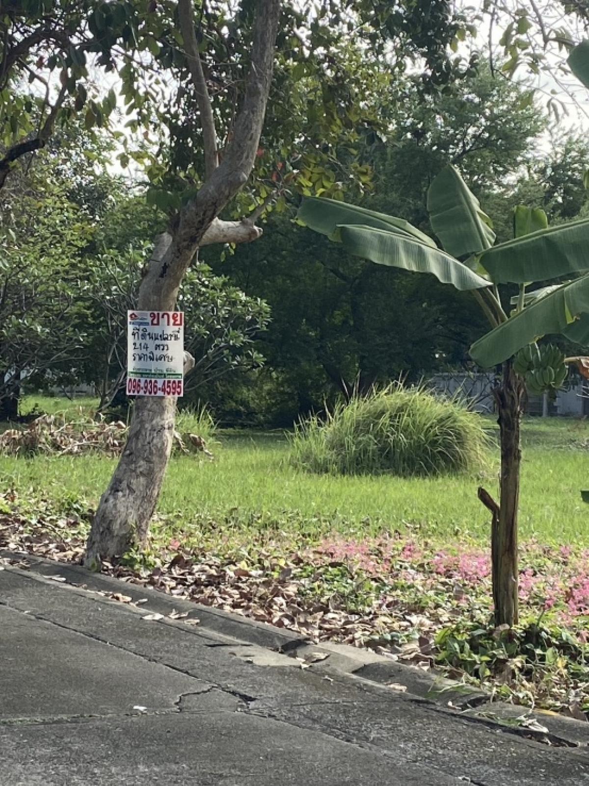 ขายที่ดินเปล่า 214 ตรว หมู่บ้านเบลเลอวิล บรมราชชนนี62/3 ทวีวัฒนา ตรงข้ามโรงพยาบาลธนบุรีทวีวัฒนา ใกล้ตลาดสดธนบุรี  ใกล้วิทยาลัยทองสุข หน้ากว้างที่ดิน22 เมตร ลึกประมาณ40 เมตร สนใจนัดดูได้ค่ะ ติดต่อคุณติ๊ก 096-9364595 – รูปที่ 4
