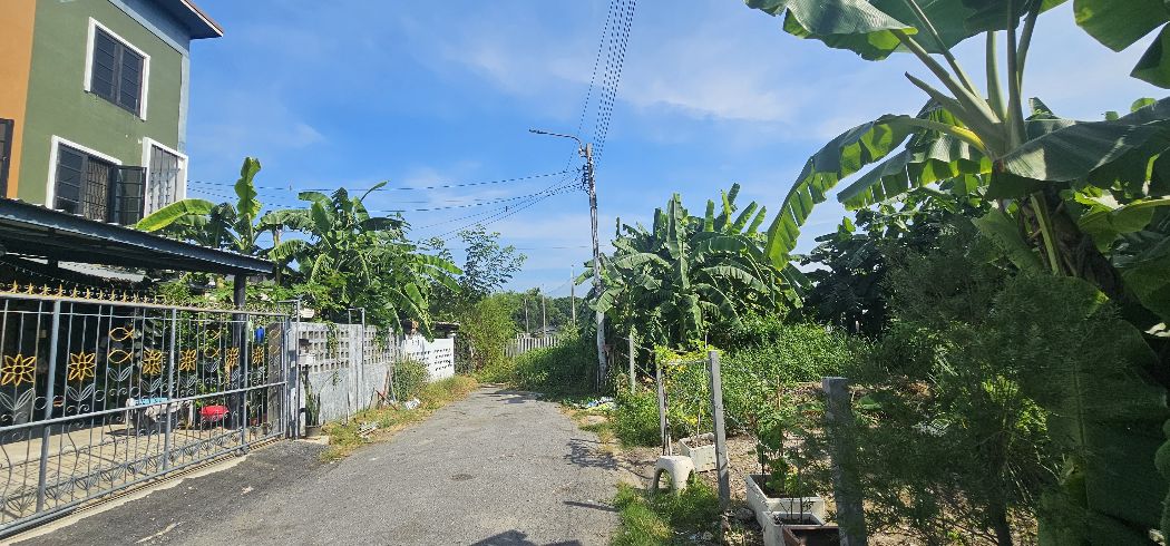 ขาย ที่ดิน ซอยเพิ่มสิน20 115 ตร.วา พหลโยธิน 54-1 บางเขน กทม เหมาะสร้างบ้าน – รูปที่ 2