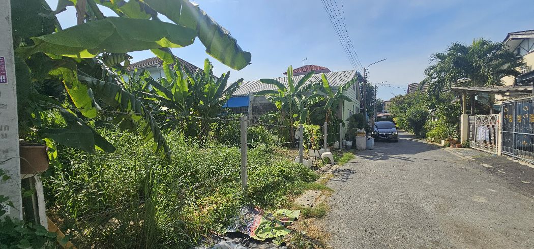 ขาย ที่ดิน ซอยเพิ่มสิน20 115 ตร.วา พหลโยธิน 54-1 บางเขน กทม เหมาะสร้างบ้าน – รูปที่ 3