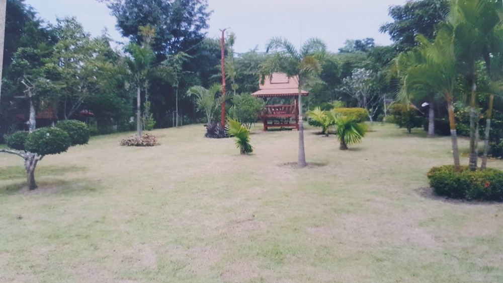 ขายที่ดิน 17-0-08 ไร่ ติดถนนจันทบุรี-สระแก้ว อ.เขาฉกรรจ์ ใกล้วัดหนองกระทุ่ม – รูปที่ 2