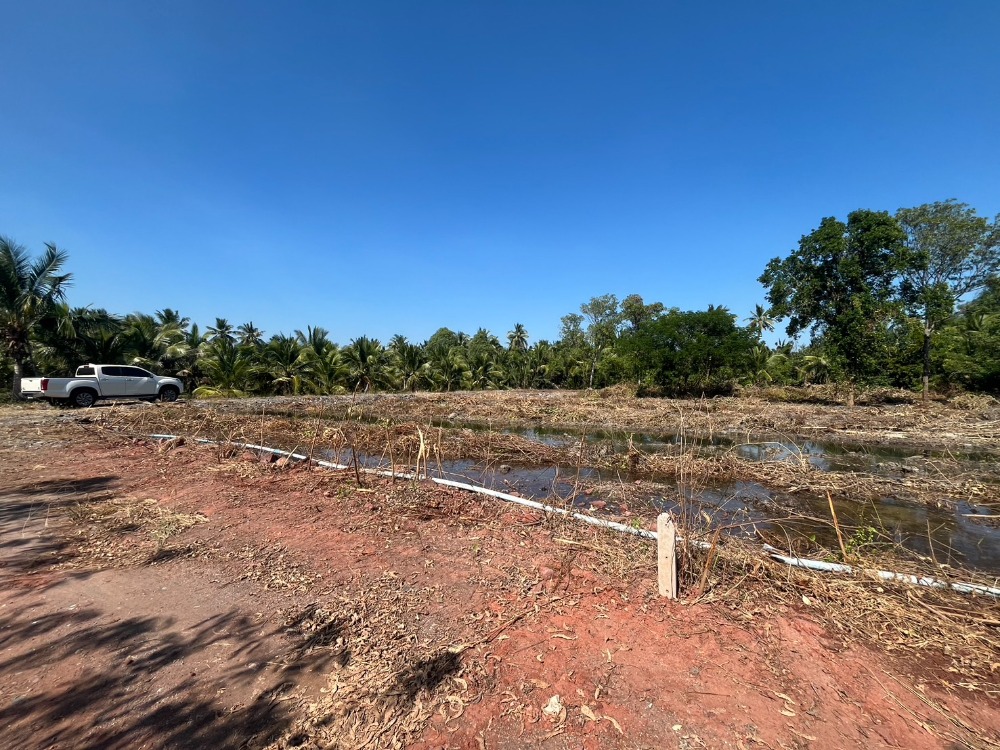 ขาย ที่ดินเปล่า 2 ไร่ ลาดใหญ่ อำเภอเมืองสมุทรสงคราม ใกล้แม่น้ำ แม่กลอง – รูปที่ 2