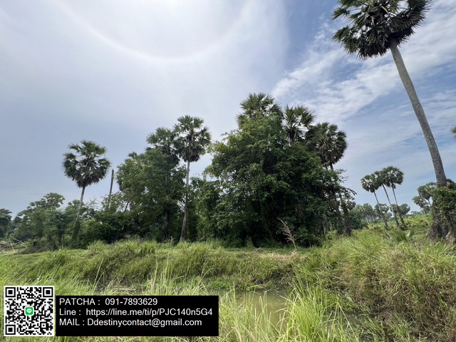 ขายที่ดินแปลงสวยทำเลดี อ.สทิงพระ จ.สงขลา ใกล้แหล่งชุมชน เดินทางสะดวก – รูปที่ 3