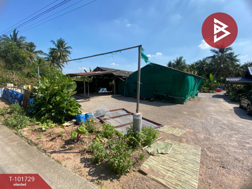 ขายที่ดินเปล่า เนื้อที่ 1 ไร่ 3 งาน 79.2 ตร.วา วัดเพลง ราชบุรี – รูปที่ 2