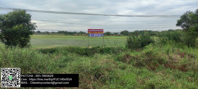 ขายที่ดินเปล่าผืนใหญ่ สวย ทำเลดี ติดถนนสายหลักปทุมธานี-นนทบุรี – รูปที่ 2